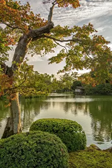 Shrubs Prints: View of Kasumiga-ike Pond in Kenrokumachi Japanese Garden