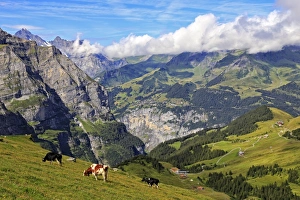 Grindelwald Prints: View from Kleine Scheidegg to Murren and Lauterbrunnen Valley