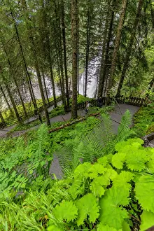 Waterfalls Prints: View of Krimml Waterfalls during summer