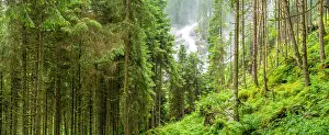 Waterfalls Prints: View of Krimml Waterfalls during summer
