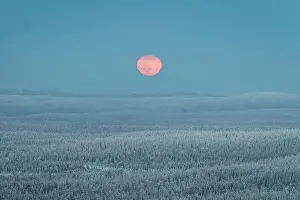 Wintry Prints: View from Kuntivaara Fell of full moon rising over the Taiga forests of Russia