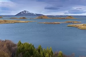 Images Dated 17th October 2008: View of Lake Myvatn, from Hofdi on the east shore of the lake, with pseudo-craters