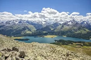 Images Dated 8th August 2010: Top view of Lake Sils with snowy peaks in background, Engadine, Canton of Grisons (Graubunden)