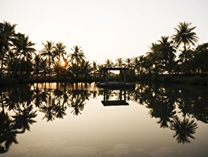 Kerala Prints: View of lake at sunset, backwaters near North Paravoor, Kerala, India, South Asia