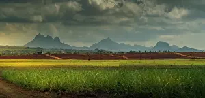Pastures Prints: View of landscape and Long Mountain in the interior from near Petit Raffray