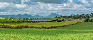 Pastures Prints: View of landscape and Long Mountain in the interior from near Petit Raffray