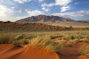 Namib Rand Prints: View across landscape of sand dunes and mountains at Wolwedans