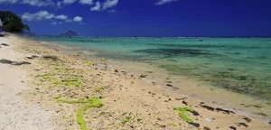 Stones Prints: View of Le Morne from the beach at Flic en Flac in Mauritius on a clear sunny day with turquoise water and blue sky