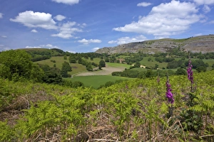 L Imestone Prints: View towards limestone escarpment of Creigiau Eglwyseg, from Castell Dinas Bran