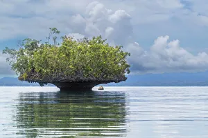 Reflective Prints: A view of limestone islets covered in vegetation