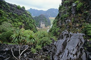 Ninh Binh Prints: View from limestone outcrop