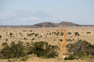 A view of the Lion Rock in Lualenyi Game Reserve, Tsavo, Kenya, East Africa, Africa