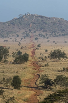Tsavo Prints: A view of the Lion Rock in Lualenyi Game Reserve, Tsavo, Kenya, East Africa, Africa