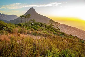 Signal Hill Prints: View of Lion's Head at sunset from Signal Hill