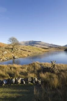 Images Dated 3rd January 2009: View across Llyn y Dywarchen to Mount Snowdon in Snowdonia National Park