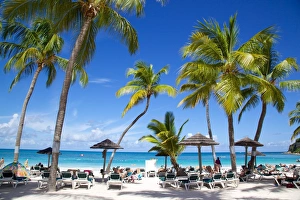 Sun Lounger Prints: View of Long Bay and beach, Long Bay