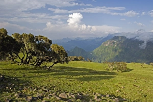 Sankaber Prints: View looking towards the Nortern Escarpment near Sankaber, UNESCO World Heritage Site