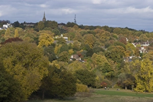 Images Dated 26th October 2009: View looking northeast towards Highgate from Hampstead Heath, London, England