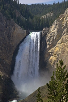 View of Lower Falls from Red Rock Point, Grand Canyon of the Yellowstone River, Yellowstone National Park, UNESCO World Heritage Site, Wyoming, United States of America, North America