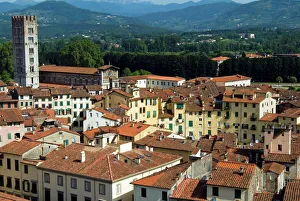 Roof Top Prints: View of Lucca from Torre Guinigi, Lucca, Tuscany, Italy, Europe