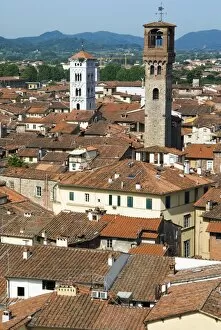 Images Dated 24th June 2008: View of Lucca from Torre Guinigi, Lucca, Tuscany, Italy, Europe