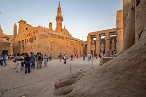 Luxor Prints: View of Luxor Temple during golden hour, Luxor, Egypt, Africa