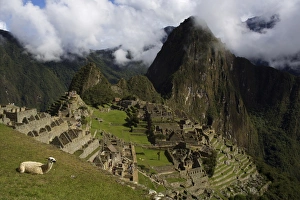 Machu Picchu Prints: View over Machu Picchu, UNESCO World Heritage Site, Sacred Valley, Peru, South America