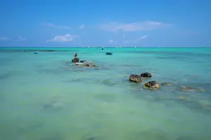 Fishing Rod Prints: View of man fishing from Mont Choisy Beach and turquoise Indian Ocean on sunny day