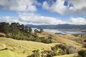 Waikato Prints: View of Manaia Harbour and farmland
