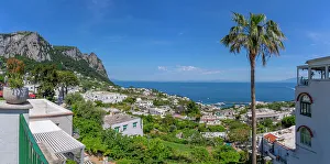 Isle Prints: View of Marina Grande from Capri Town