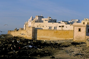 Town Wall Prints: View of the Medina