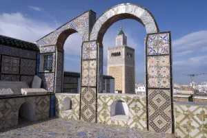 Images Dated 22nd March 2008: View over the Medina of Tunis and the main mosque, Tunisia, North Africa, Africa
