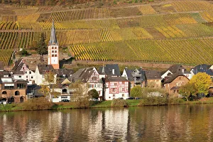 View of Merl district, Moselle Valley, Zell an der Mosel, Rhineland-Palatinate, Germany