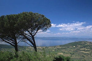 Bolsena Prints: View from Montefiascone of Bolsena Lake