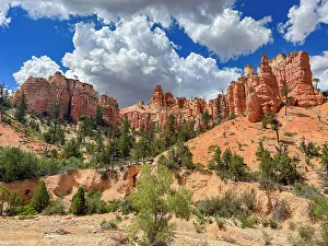 Hoodoo Prints: A view from the Mossy Cave Trail of red rock and hoodoos
