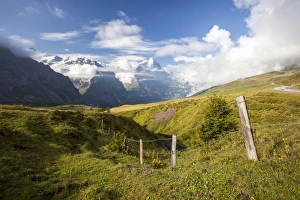 Grindelwald Prints: View of Mount Eiger from First, Grindelwald, Bernese Oberland, Canton of Bern, Swiss Alps