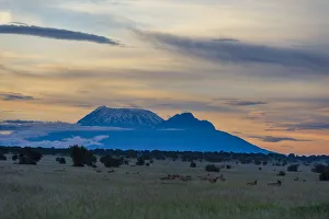 Tsavo Prints: View of Mount Kilimanjaro from Tsavo, Kenya, East Africa, Africa