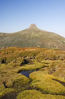 View from Mount Ossa, 1617m, Tasmanias highest mountain on the Overland Track