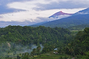 Senaru Prints: View of Mount Rinjani from Senaru, Lombok, Indonesia, Southeast Asia, Asia