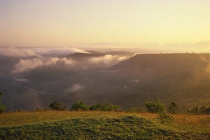 View of Mwaluganje Elephant Sanctuary, Shimbas, Kenya, East Africa, Africa