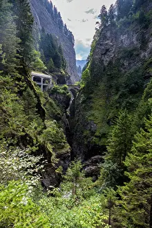 Fresh Prints: View of a narrow gorge with a bridge and lush greenery in Switzerland
