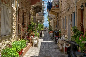 Potted Plant Prints: View of narrow street leading towards harbour in Kalimnos
