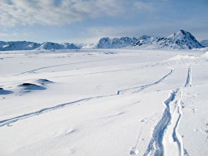Tasiilaq Prints: View near Tasiilaq village, East Greenland, Polar Regions