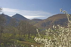 View across Newlands Valley to Causey Pike, Lake District National Park