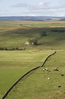 Northumbria Prints: A view north from Crag Lough Heights to a Northumbrian farmstead, Hadrians Wall