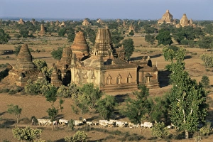 View north from Gayokpyemin Pagoda across Bagan (Pagan), Myanmar (Burma), Asia
