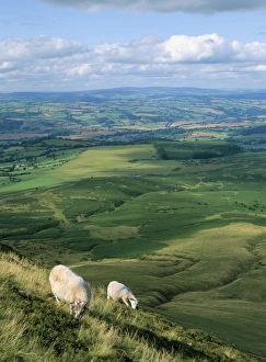 Powys Prints: View north from Hay Bluff