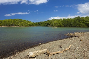 Nicoya Peninsula Prints: View across the Nosara River mouth towards the Biological Reserve