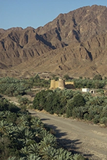 Oases Prints: View over the oasis fort of Bithnal