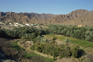 Oases Prints: View over the oasis town of Bithnal